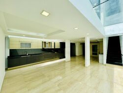 Cairnhill Road (D9), Terrace #499805381